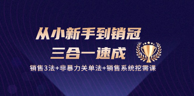 从小新手到销冠三合一速成：打造销售精英的全方位指南：销售3法+非暴力关单法+销售系统挖需课 (27节)