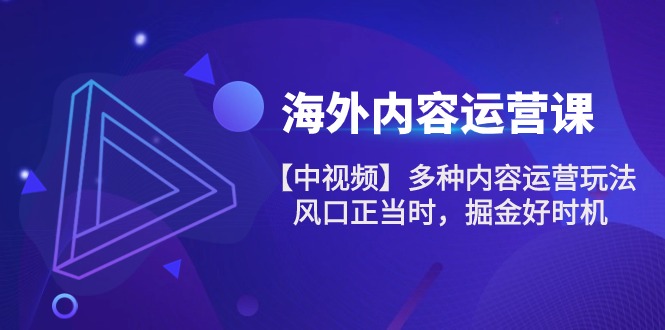 海外内容运营课：打造国际影响力，引领内容营销新纪元【中视频】多种内容运营玩法 风口正当时 掘金好时机-101节