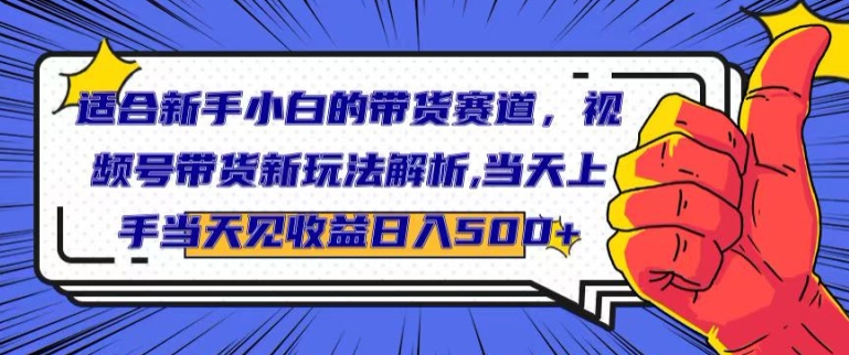 适合新手小白的带货赛道，视频号带货新玩法解析，当天上手当天见收益，日入500+