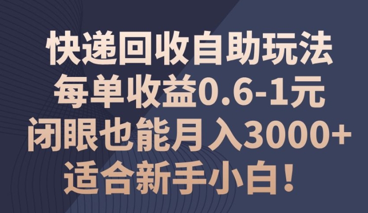 快递回收自助玩法，每单收益0.6-1元，闭眼也能月入3000+!适合新手小白!